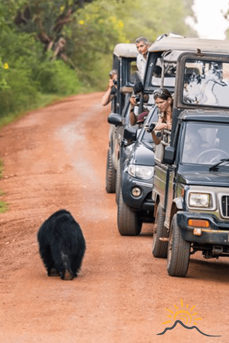 Kumana Tour