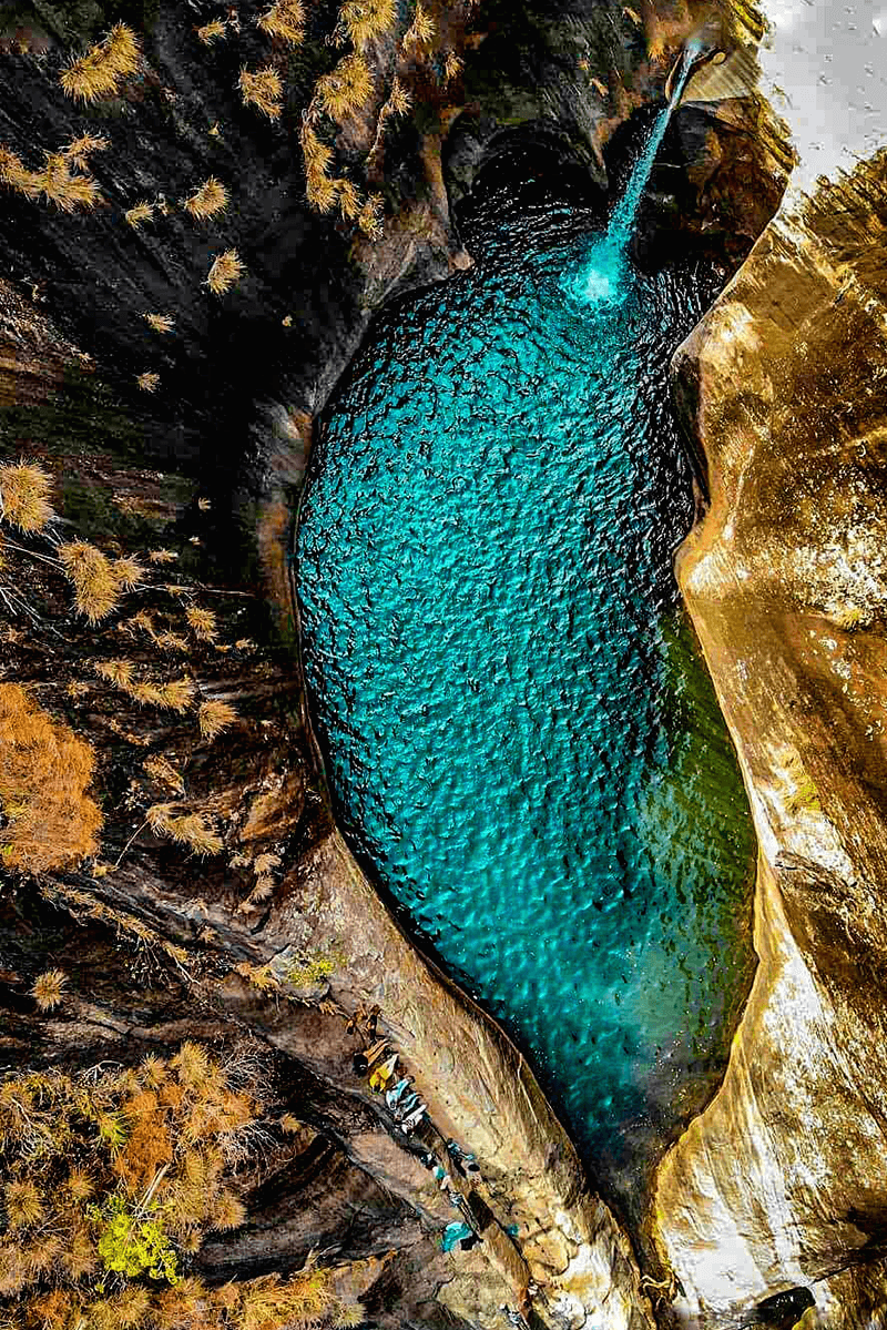 Natural Pool