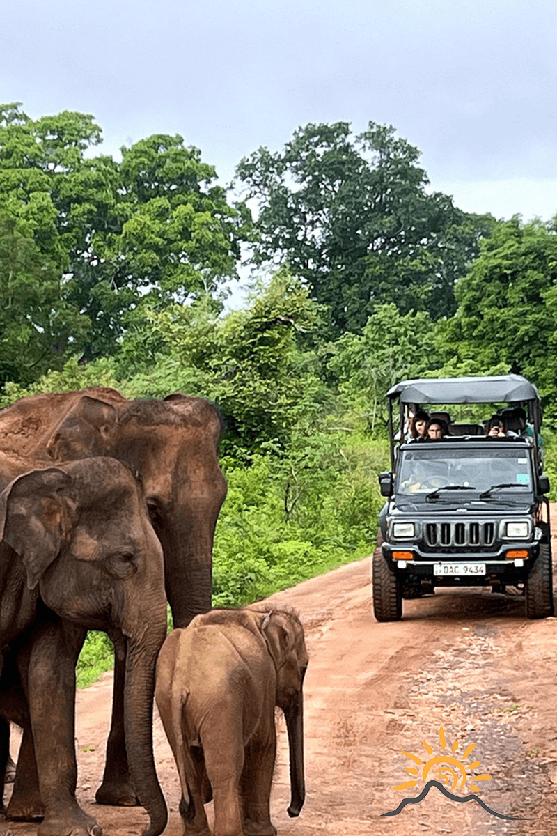 Udawalawa Tour