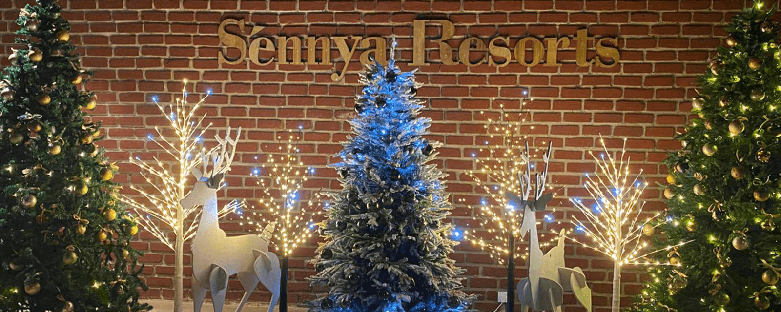 Sennya Resorts