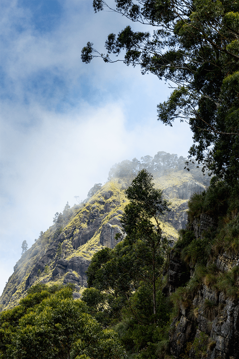 Horton Plains National Park
